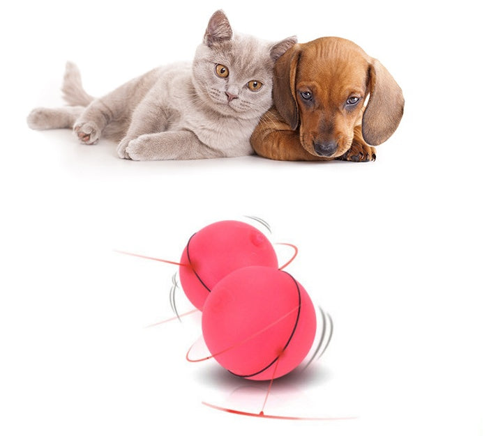 Pet Toys