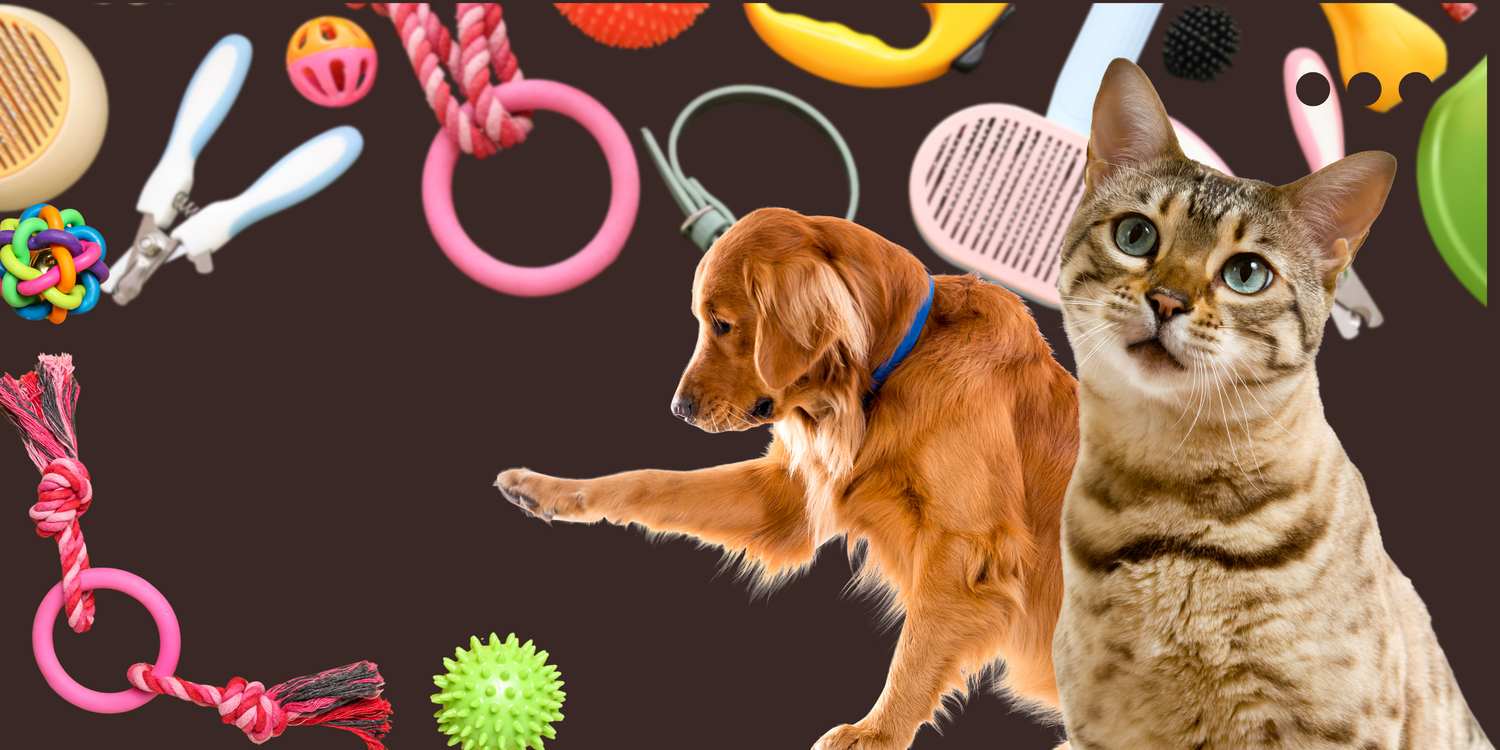 Pet Essentials & Accessories