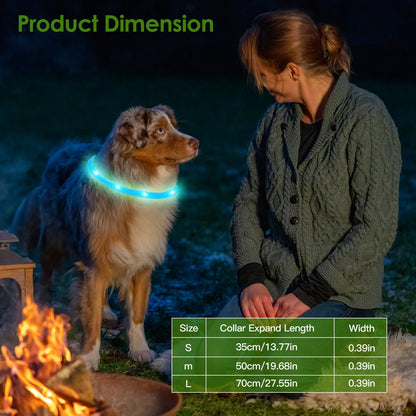 USB Rechargeable LED Dog Collar - Multi-Color Safety Light for Night Walking