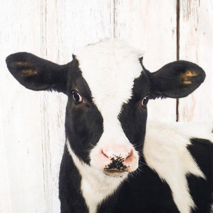 Farm Shower Curtain Decor, Rustic Wooden Wall Farm Little Animals Horse and Cow Shower Curtains 60X72 Inches Polyester Fabric Bathroom Decorations Bath Curtains Hooks Included