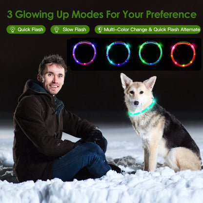 USB Rechargeable LED Dog Collar - Multi-Color Safety Light for Night Walking