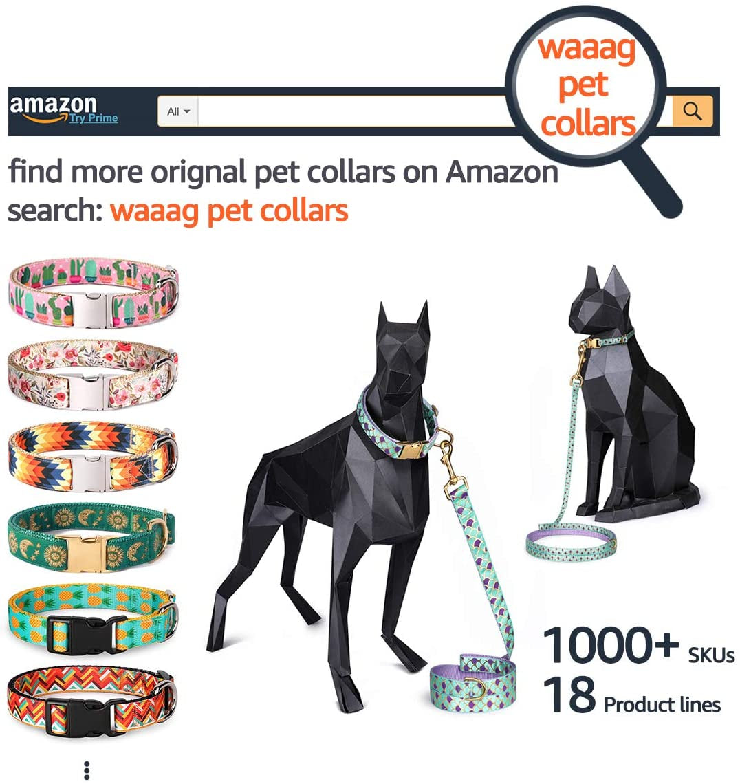 Pet Supplies, (Summer Blooms) Cat Collar, Dog Collar, Cat Leash, Dog Leash, Small Dog Collar, Medium Dog Collar, Large Dog Collar (Pet Collar, M)