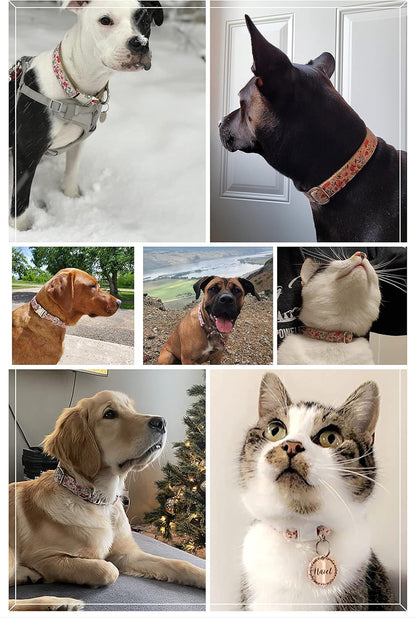 Pet Supplies, (Summer Blooms) Cat Collar, Dog Collar, Cat Leash, Dog Leash, Small Dog Collar, Medium Dog Collar, Large Dog Collar (Pet Collar, M)